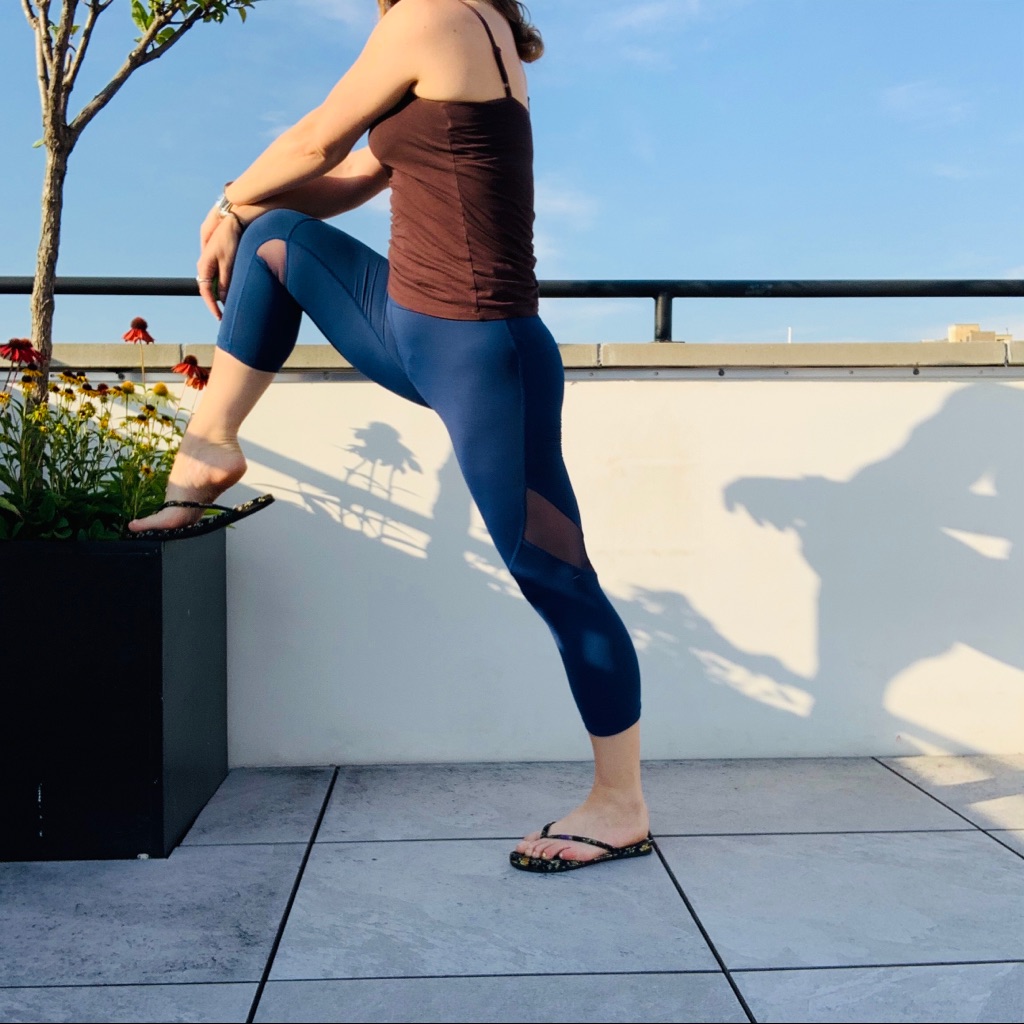 Alala High Waist Satin Capri Mesh Panels Sheer Royal Blue Crop Jogger